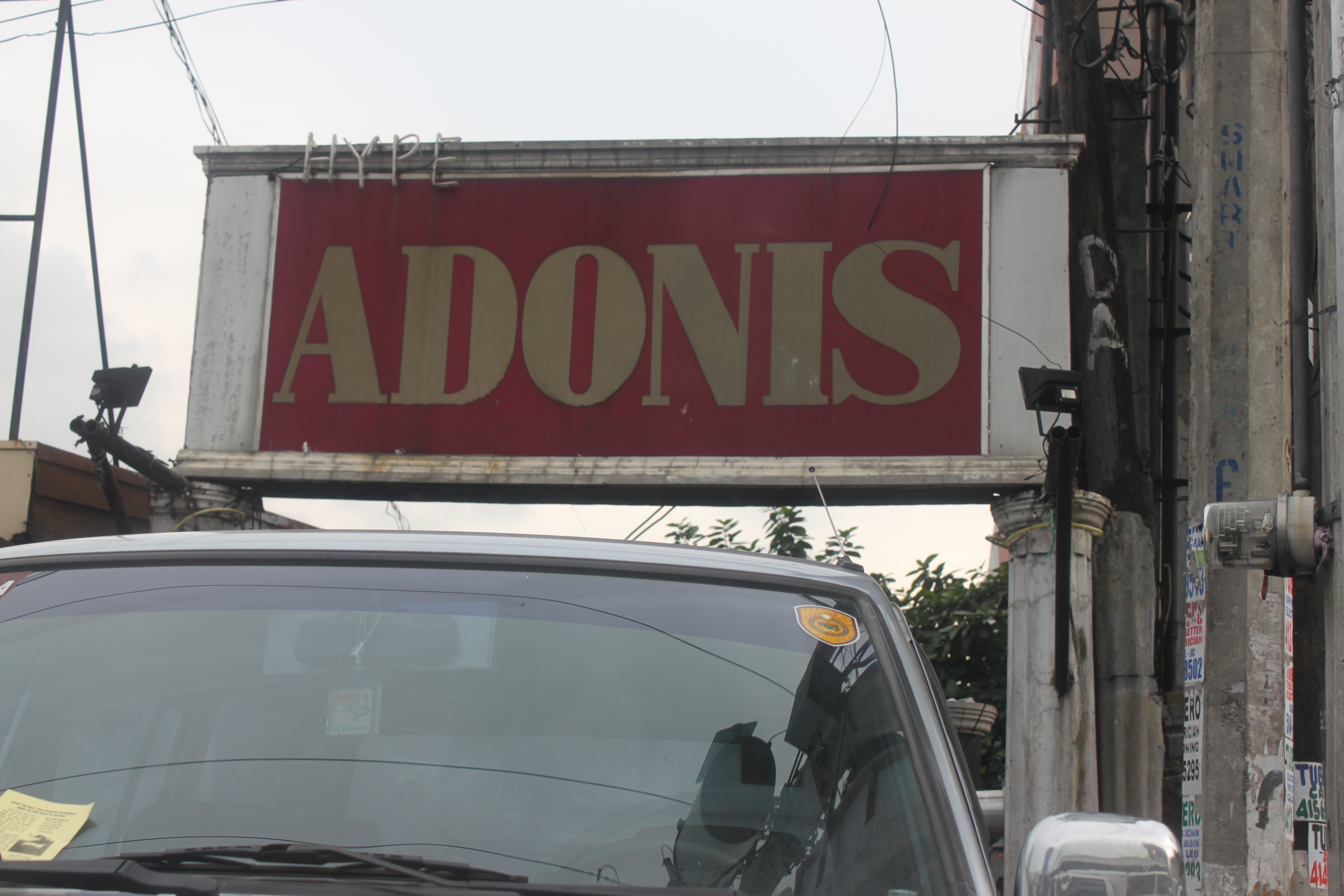 Club Adonis — 내부 분위기