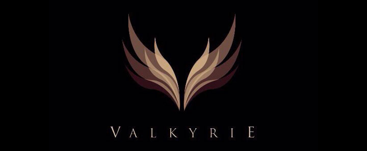 Valkyrie 파티 분위기